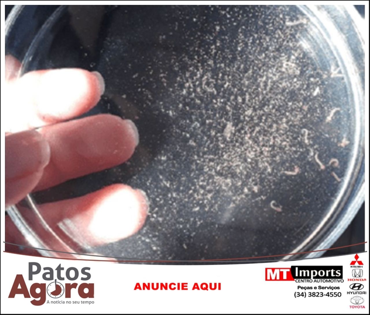 Dengue: terceiro LIRAa indica baixo risco de infestação em Patos de Minas