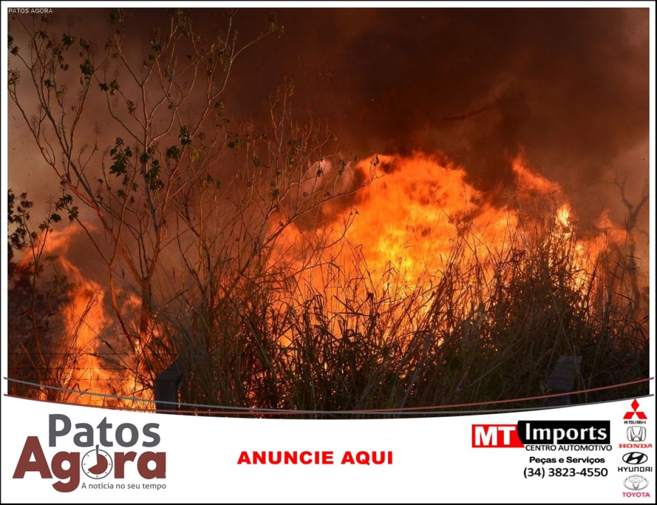 Incêndios florestais aumentam 35% em Patos de Minas no ano de 2020