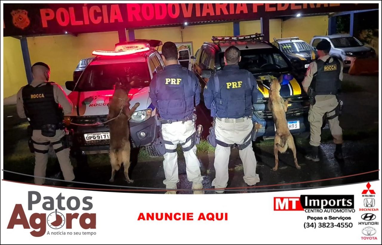 PRF e PM realizam grande apreensão de cocaína em Patos de Minas; a droga está avaliada em 1 milhão de reais 