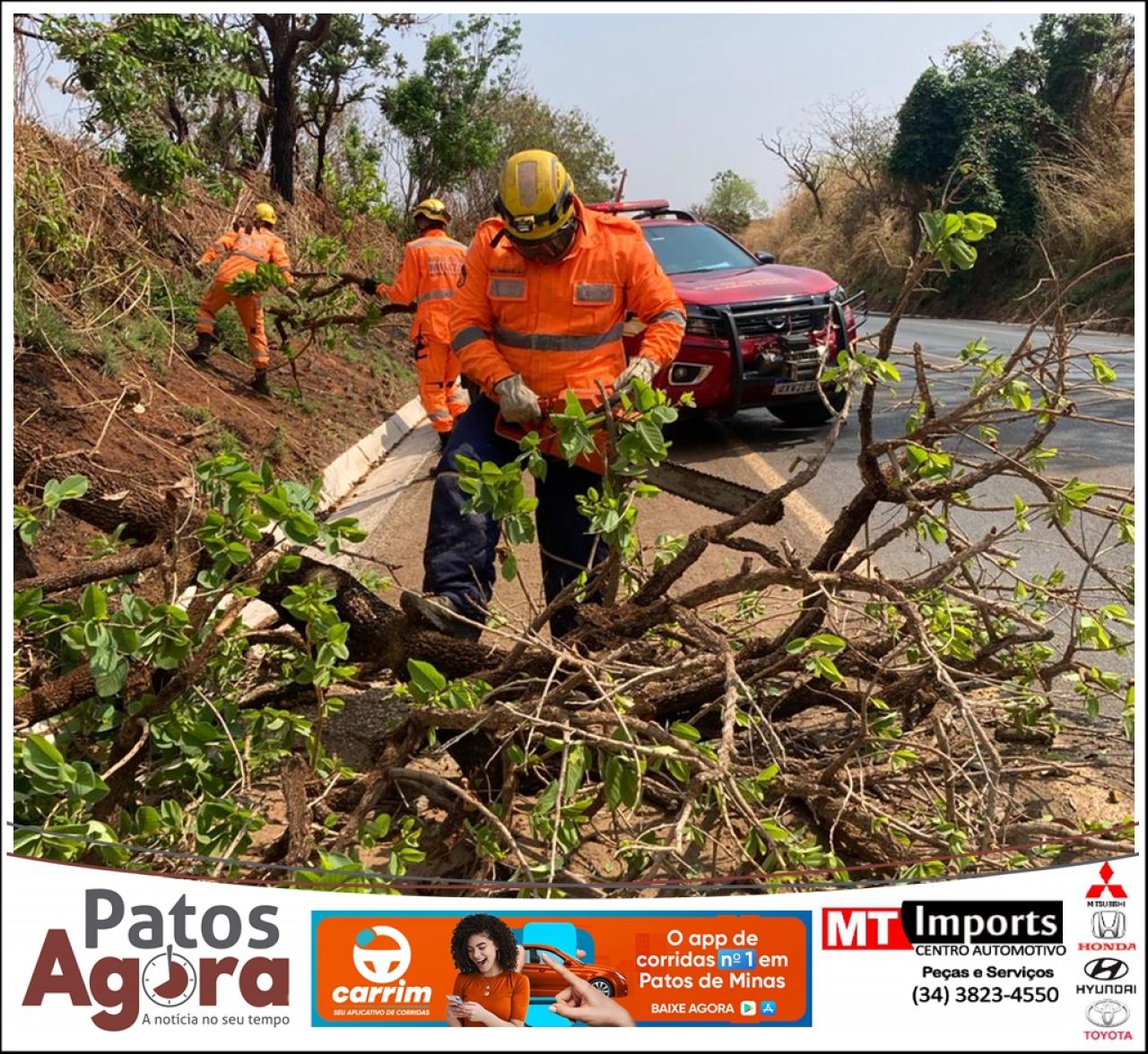 Corpo de Bombeiros reforça as dicas de segurança sobre quedas de árvores no período chuvoso