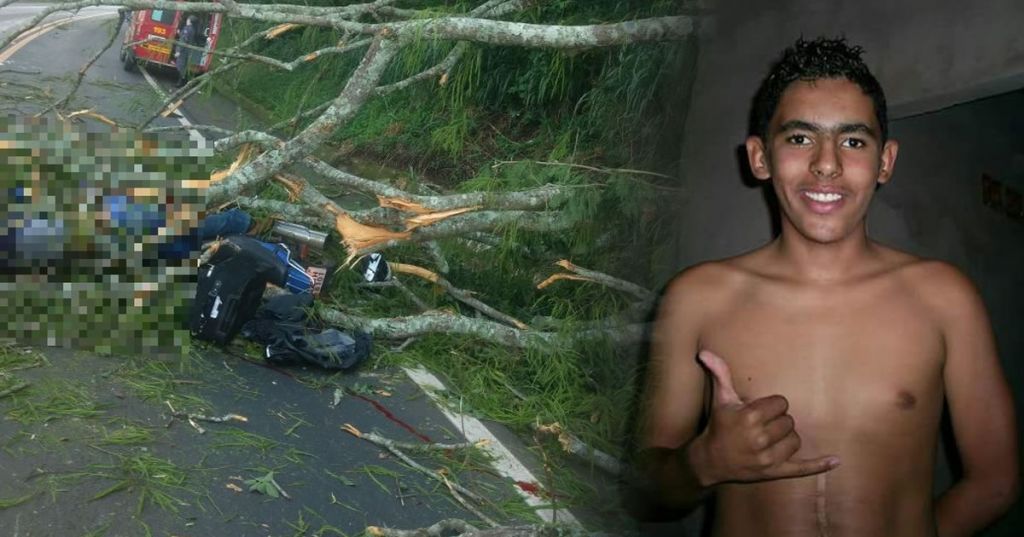 Pinheirense morre após sua moto bater em uma árvore caída na BR-365